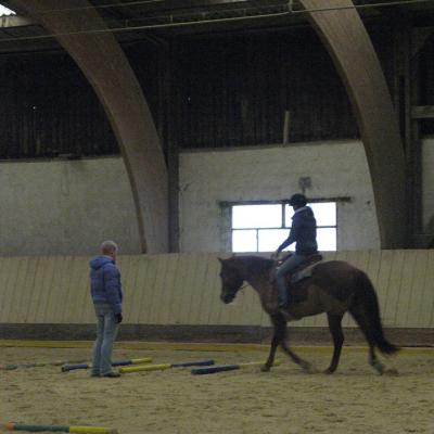 2018 Manuela Witt Clinic